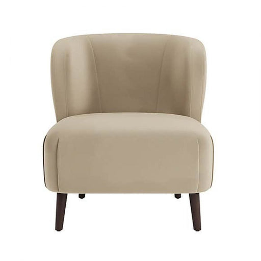 Glamorous Velvet Armchair - Afday